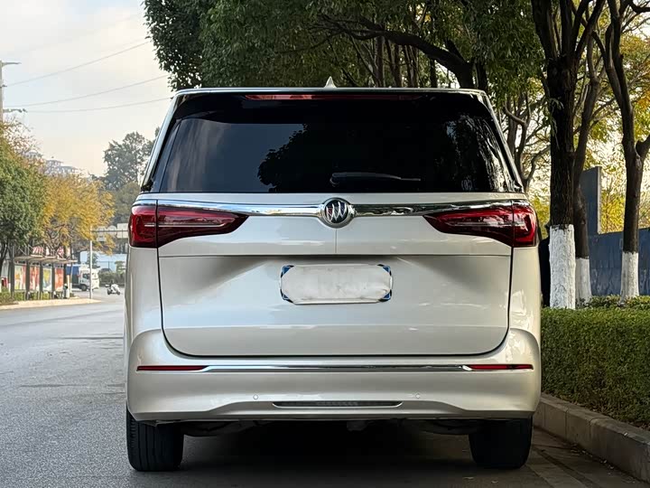 Фото 4 - Buick GL8 ES