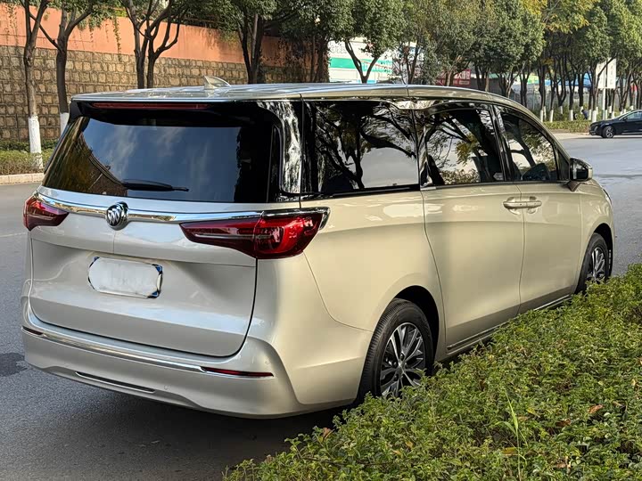 Фото 6 - Buick GL8 ES