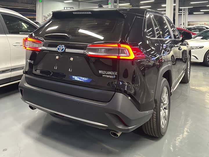 Фото 5 - Toyota Wildlander