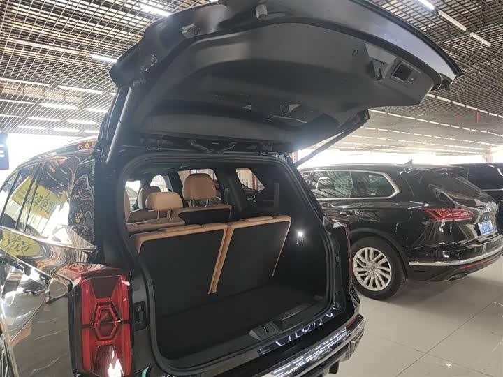 Фото 19 - GAC Trumpchi ES9