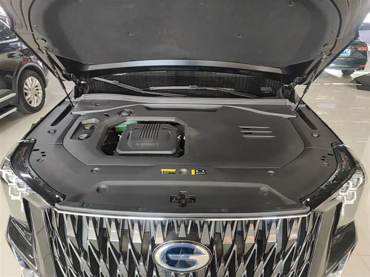 Фото 20 - GAC Trumpchi ES9