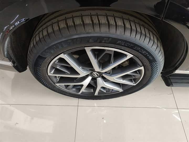 Фото 26 - GAC Trumpchi ES9