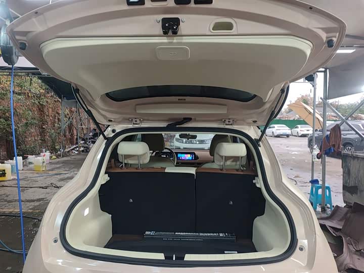 Фото 19 - Ora Good Cat (03)