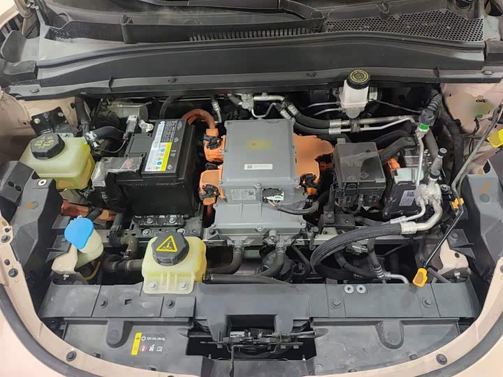 Фото 20 - Ora Good Cat (03)