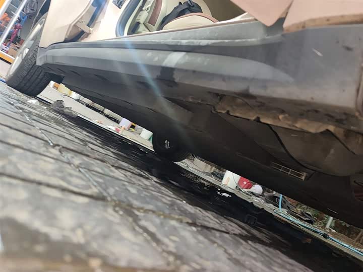 Фото 21 - Ora Good Cat (03)