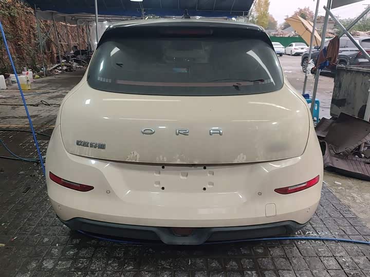 Фото 6 - Ora Good Cat (03)