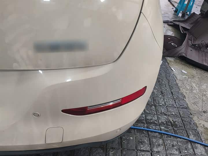 Фото 8 - Ora Good Cat (03)