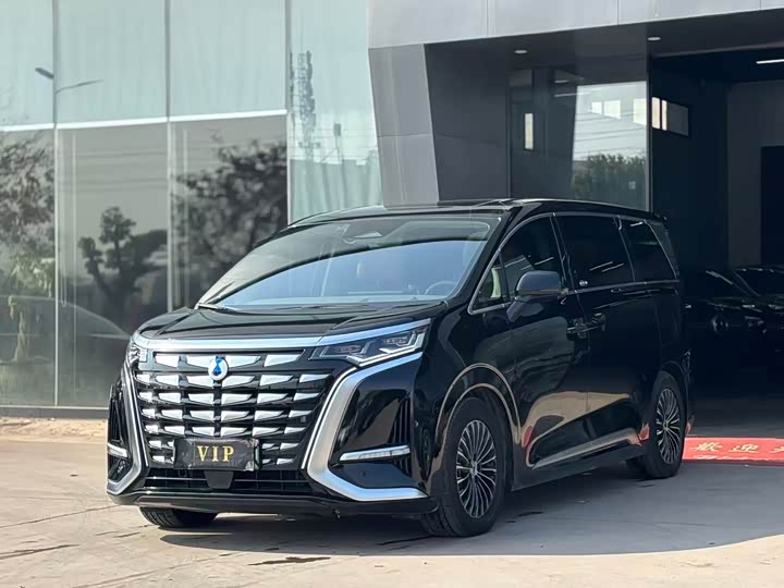 Фото 1 - Denza D9