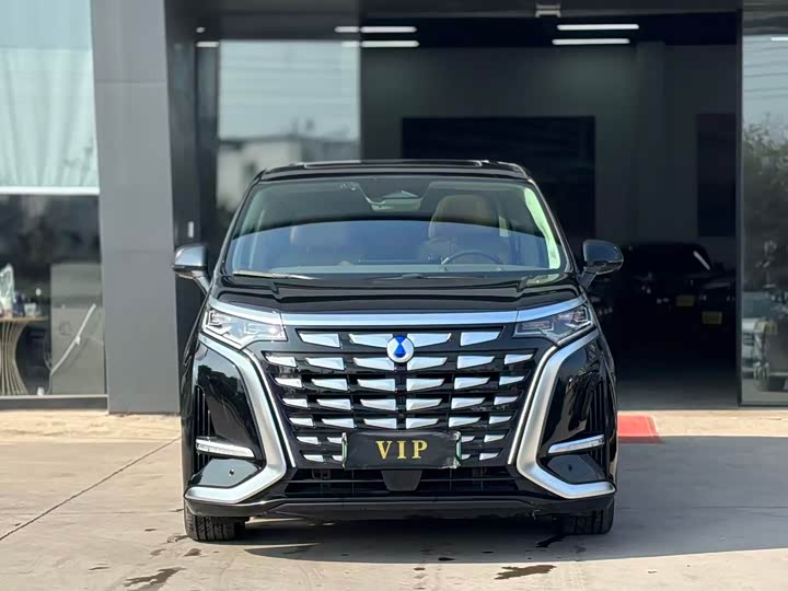 Фото 2 - Denza D9