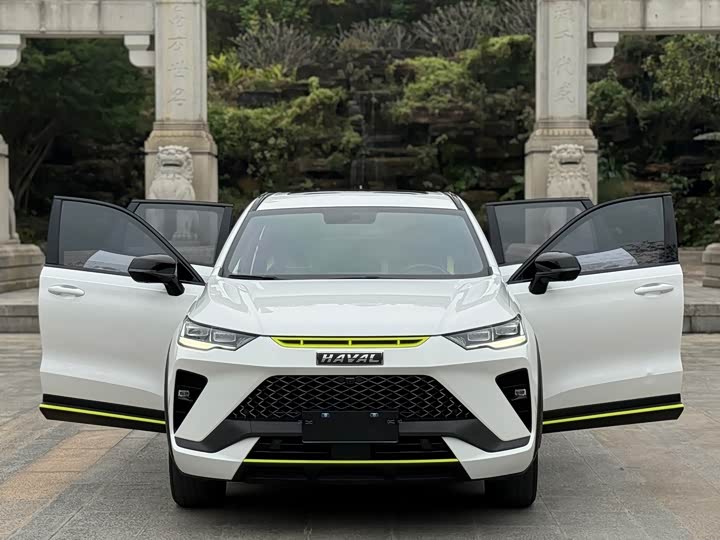 Фото 10 - Haval H6S