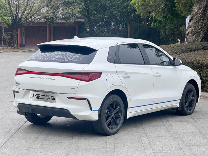 Фото 13 - BYD E2