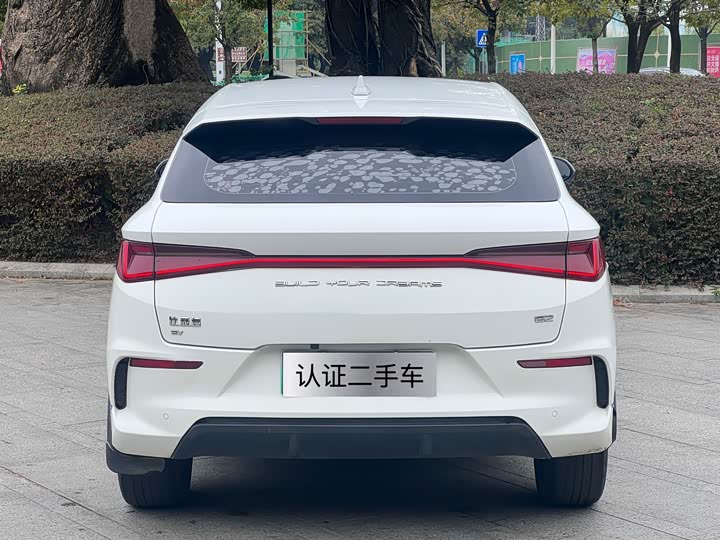 Фото 14 - BYD E2