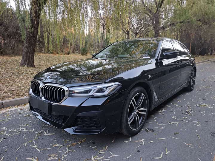 Фото 1 - BMW 5 Series Hybrid