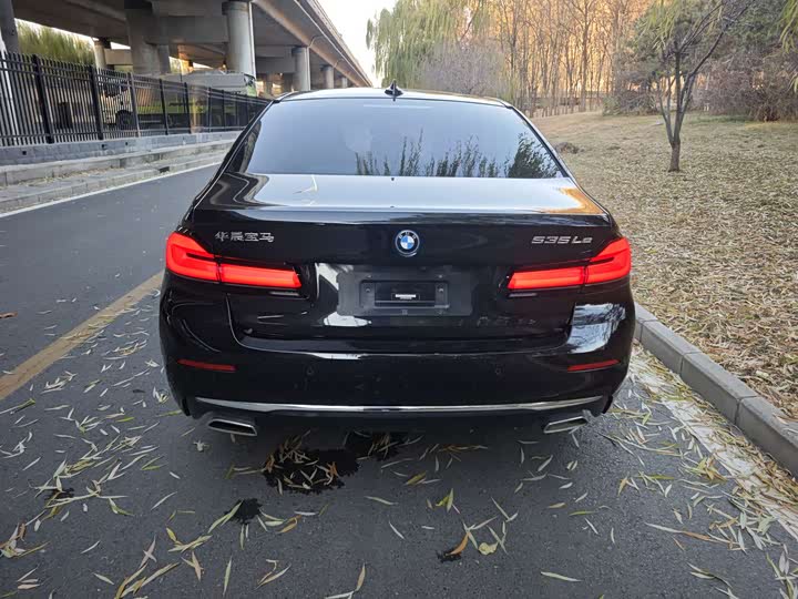 Фото 6 - BMW 5 Series Hybrid