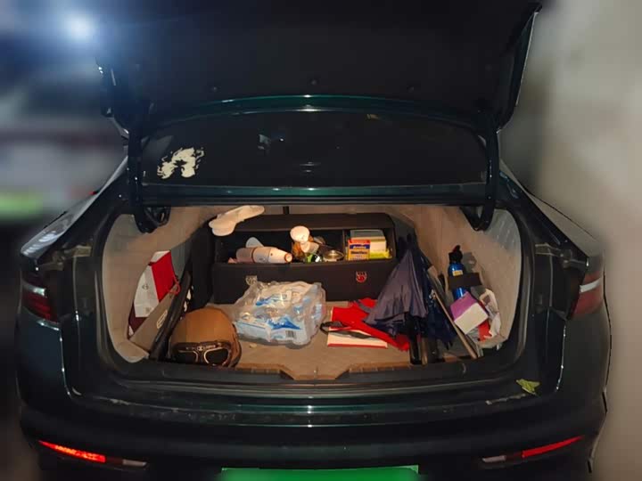 Фото 10 - Geely Preface