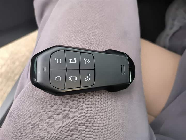 Фото 9 - XPeng X9