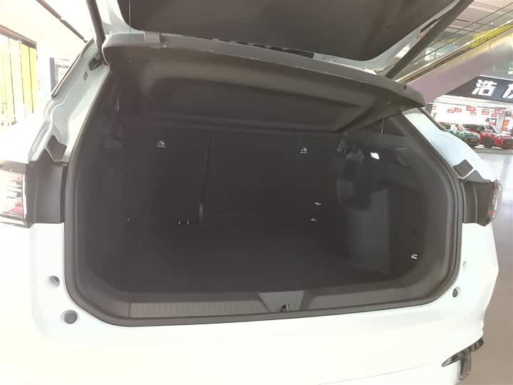 Фото 19 - Volkswagen ID.4 X