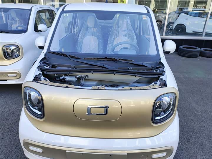 Фото 20 - Bestune Pony