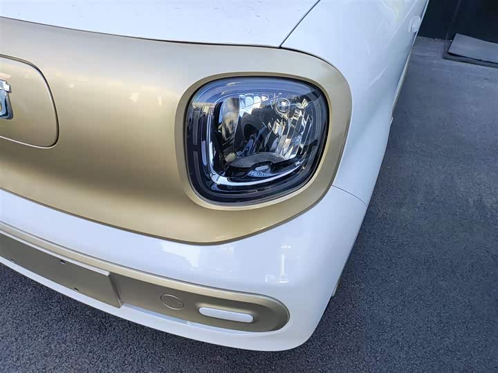 Фото 24 - Bestune Pony