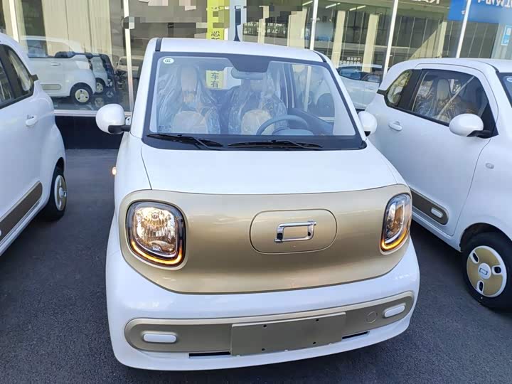 Фото 3 - Bestune Pony