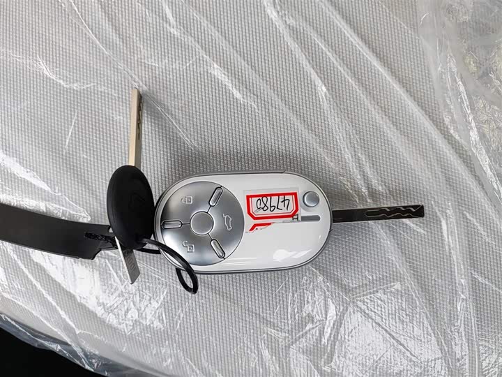 Фото 9 - Bestune Pony