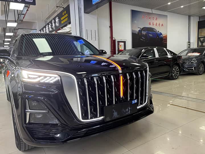 Фото 19 - Hongqi HS5