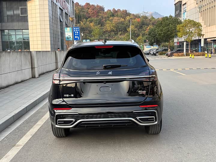 Фото 4 - Hongqi HS5