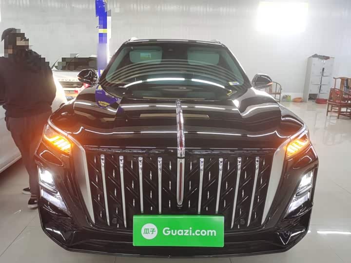 Фото 3 - Hongqi HS5