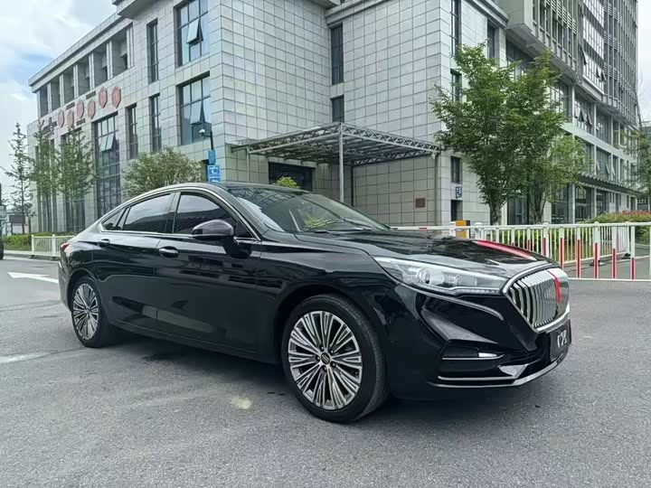 Фото 3 - Hongqi H5