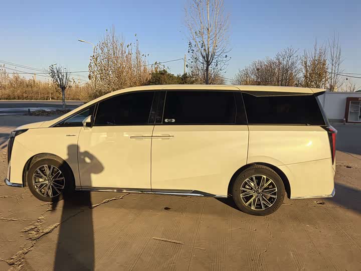 Фото 3 - GAC Trumpchi M8