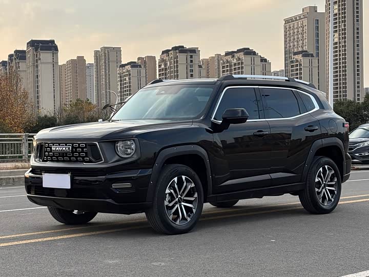 Фото 1 - Haval H-Dog