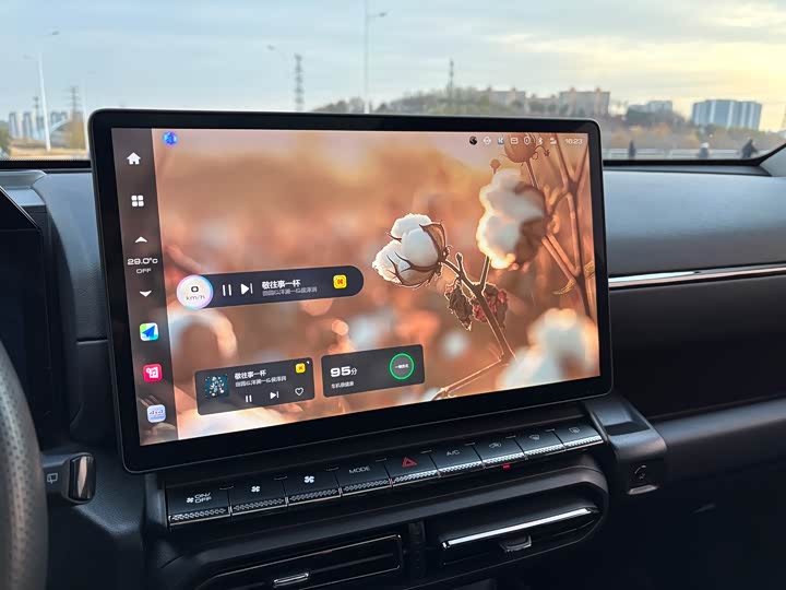 Фото 11 - Haval H-Dog