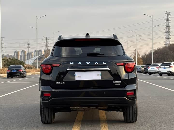 Фото 17 - Haval H-Dog