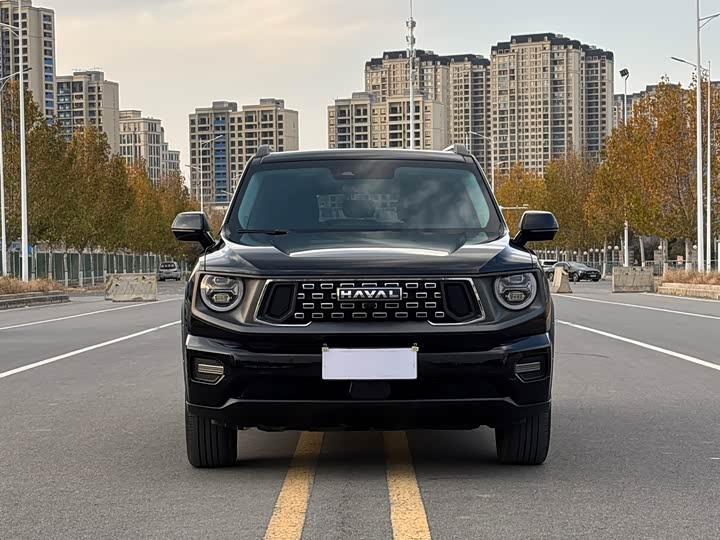 Фото 2 - Haval H-Dog