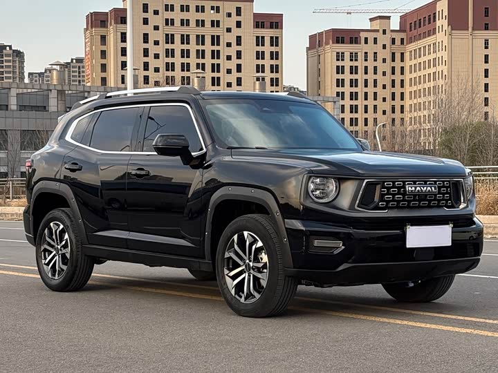 Фото 3 - Haval H-Dog