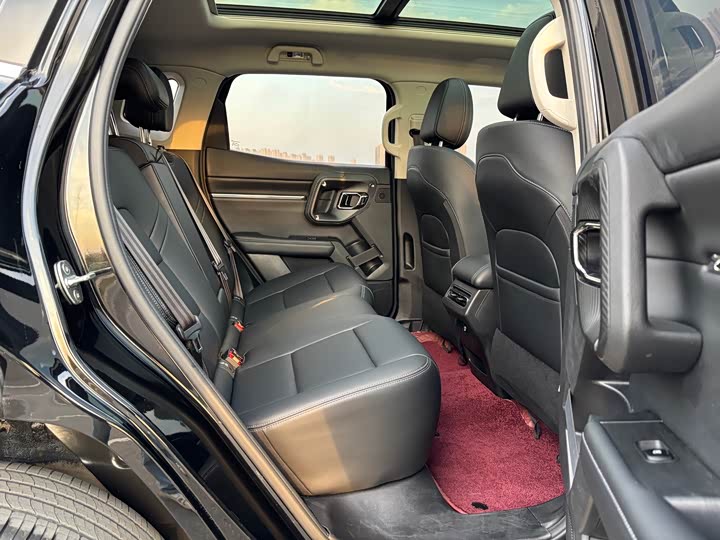 Фото 7 - Haval H-Dog