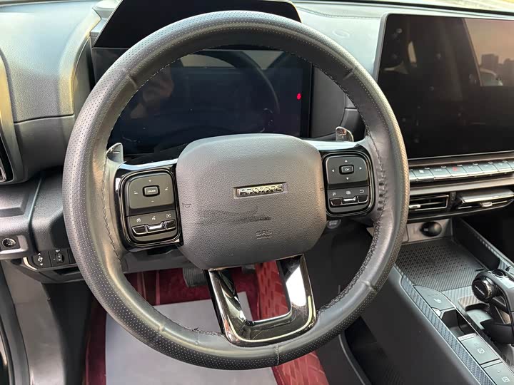 Фото 9 - Haval H-Dog