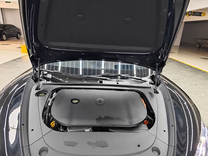 Фото 21 - Denza Z9