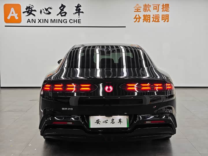 Фото 4 - Denza Z9