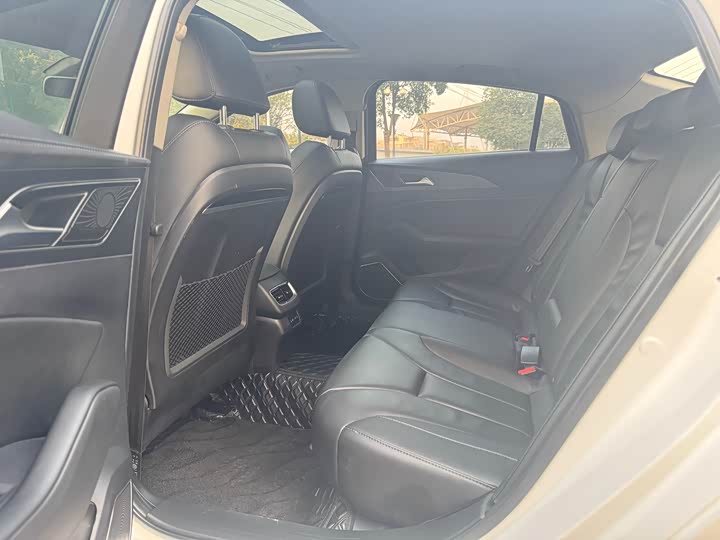 Фото 10 - Hongqi H5