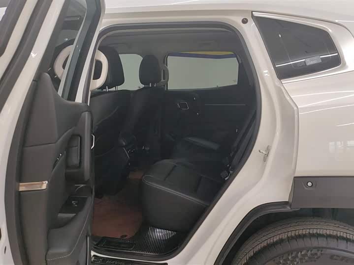 Фото 11 - Haval H-Dog