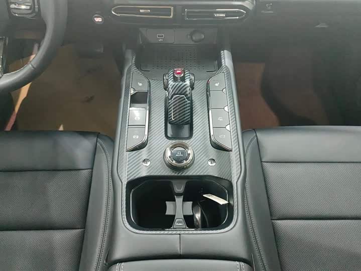 Фото 16 - Haval H-Dog