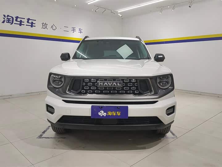 Фото 2 - Haval H-Dog