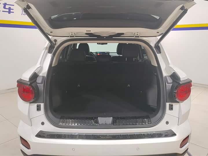 Фото 4 - Haval H-Dog