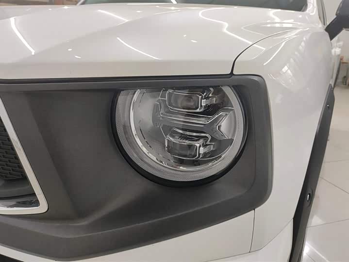 Фото 5 - Haval H-Dog