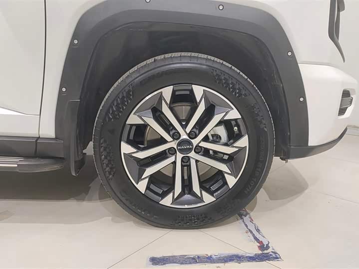 Фото 6 - Haval H-Dog