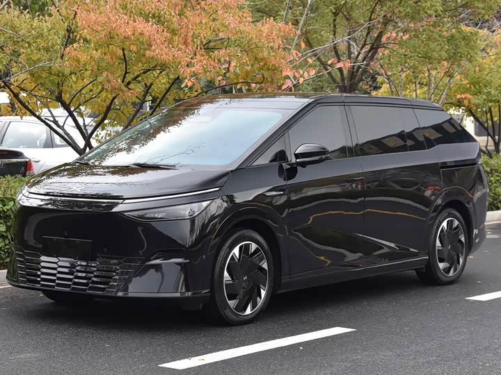 Фото 1 - XPeng X9