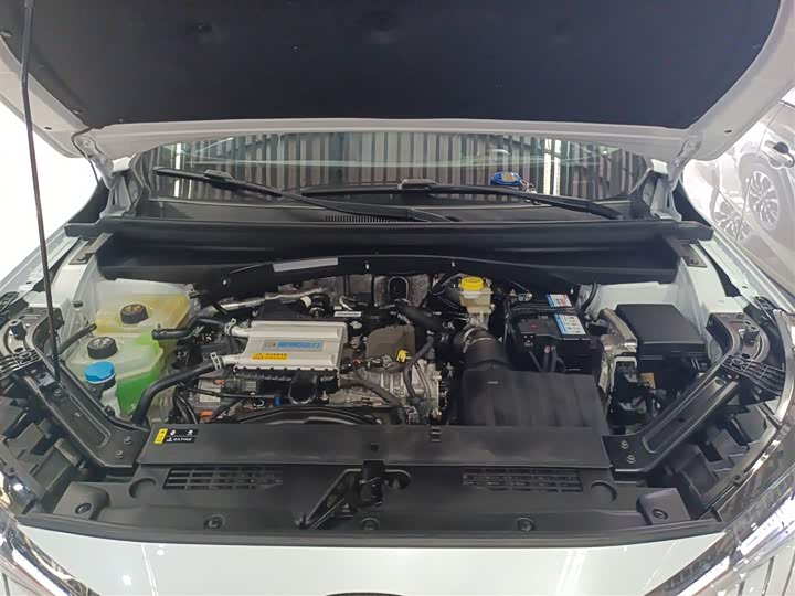 Фото 20 - GAC Trumpchi Emkoo