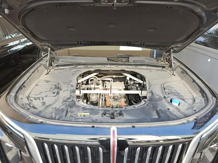 Фото 19 - Hongqi E-HS9