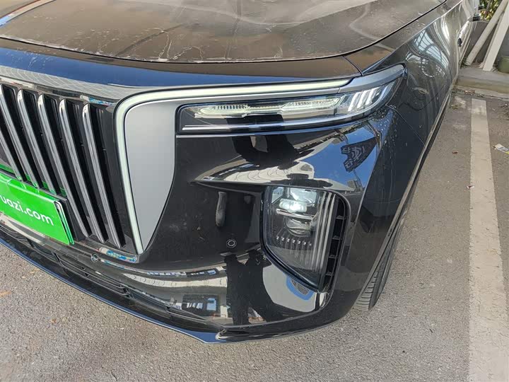 Фото 23 - Hongqi E-HS9